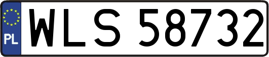 WLS58732