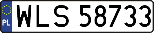 WLS58733