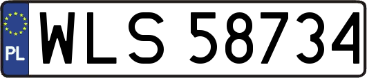 WLS58734