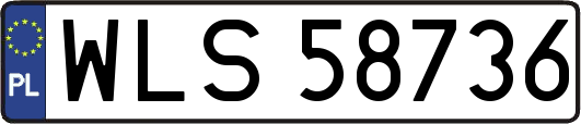 WLS58736