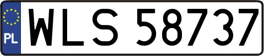 WLS58737