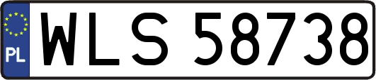 WLS58738