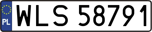 WLS58791
