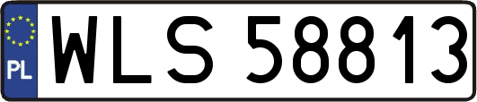 WLS58813