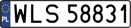 WLS58831