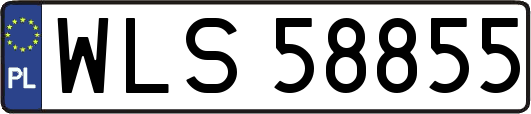 WLS58855