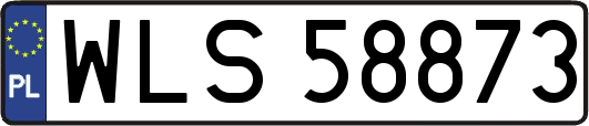 WLS58873