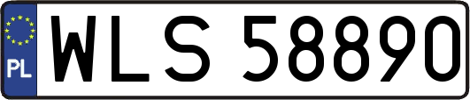 WLS58890