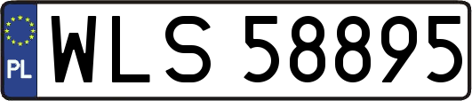 WLS58895