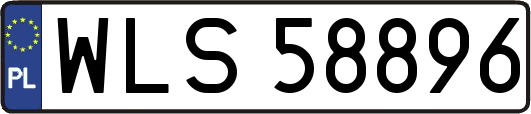 WLS58896