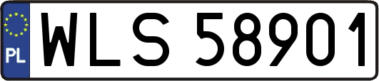 WLS58901