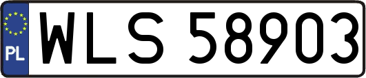WLS58903