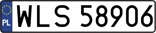 WLS58906