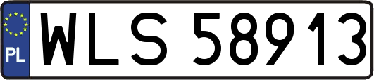 WLS58913