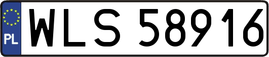 WLS58916