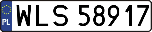 WLS58917