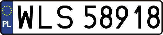 WLS58918