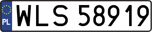 WLS58919