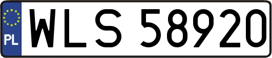 WLS58920