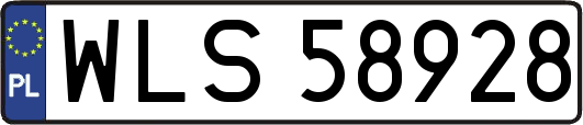 WLS58928