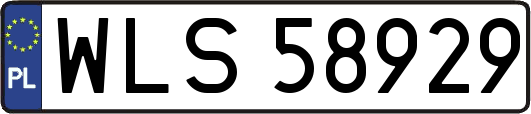 WLS58929