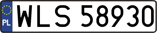 WLS58930