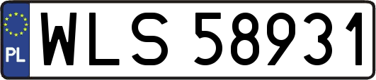 WLS58931