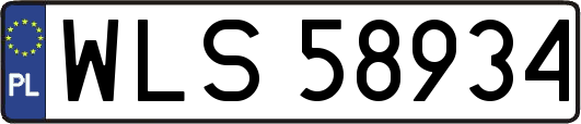 WLS58934