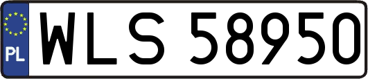 WLS58950