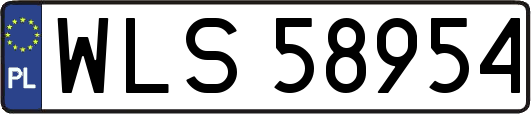 WLS58954
