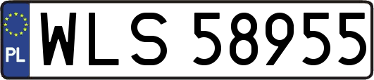 WLS58955