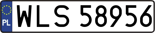 WLS58956