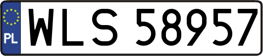 WLS58957