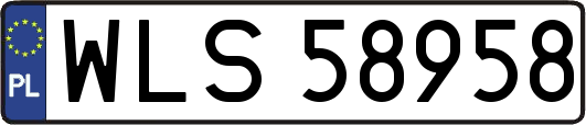 WLS58958