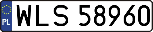 WLS58960