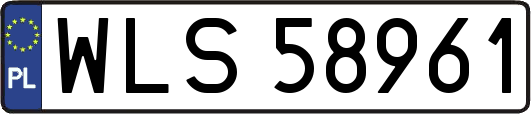 WLS58961