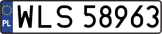 WLS58963
