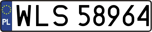 WLS58964