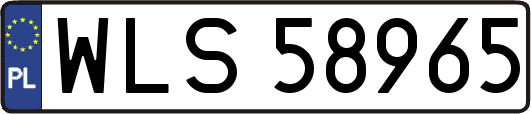 WLS58965
