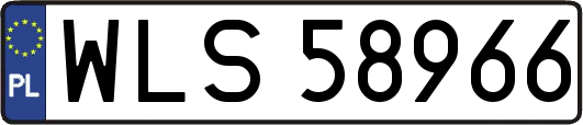 WLS58966