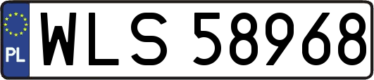 WLS58968