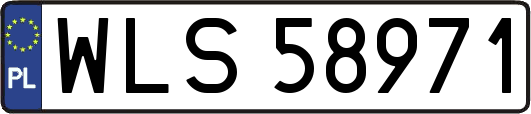 WLS58971