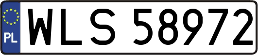 WLS58972