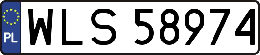 WLS58974