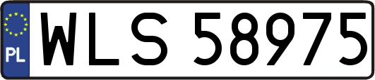 WLS58975