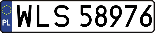 WLS58976