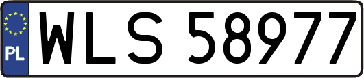 WLS58977