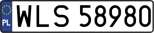 WLS58980