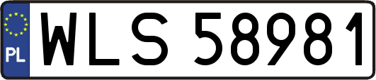WLS58981