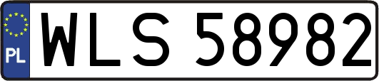 WLS58982
